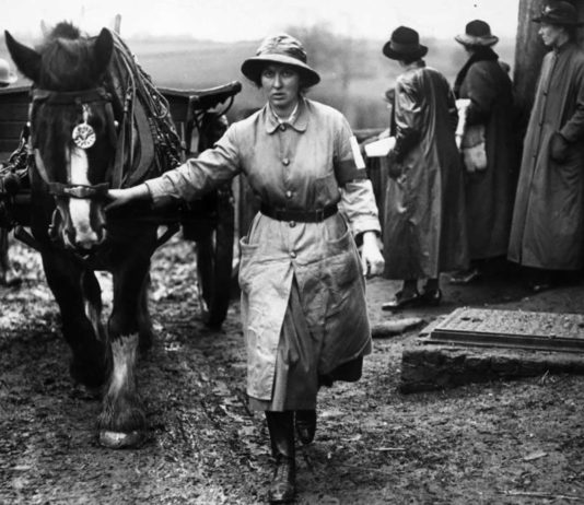 Femeie lucratoare in timpul razboiului la Cross Farm, Shackleton, Surrey, in 1917
