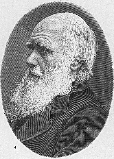 Charles Darwin. Sursa foto: wikipedia.org